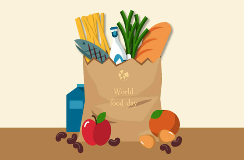 网站收录如何来做